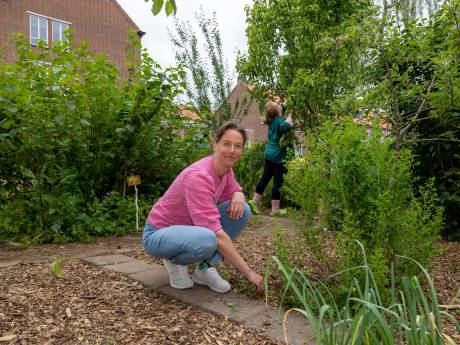 Buurvrouw José voorkomt dat stadstuintje van Annie in Zwolle opgeruimd wordt: ‘Zou echt zonde zijn’