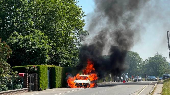 Wagen volledig uitgebrand ter hoogte van voetbalveld SK Aaigem