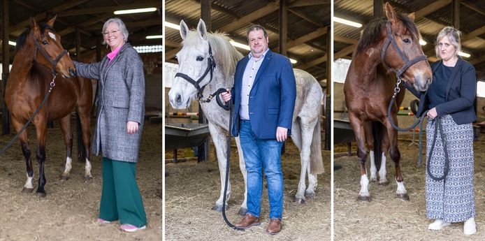 voor het kampioenschap zetten Dendermonde, Sint-Niklaas en Aalst een ludieke campagne op, waarbij schepen Dierick, De Meester en Beulens opdraven met respectievelijk het Ros Beiaard, het Paard van Sinterklaar en het Ros Balatum.