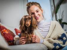 Teckel Badu eet bijna volledig veganistisch: ‘Ze kunnen overleven zonder vlees, net zoals mensen’