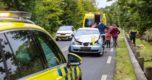 Hert afgeschoten na botsing in Laag-Soeren; automobilist gewond naar ziekenhuis.