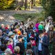 Lessen in verlies: Zo, kinderen, rouwt een olifant