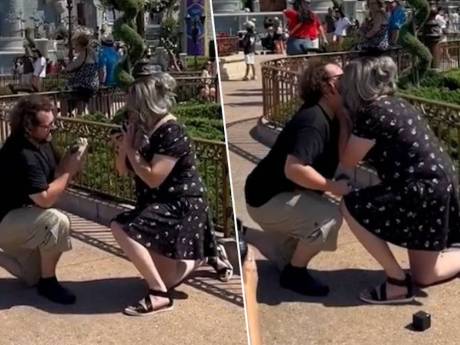 Scène cocasse à Disney World: un couple fait sa demande en mariage en même temps