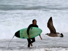 Spaanse surfer geboeid van strand gehaald na positieve coronatest