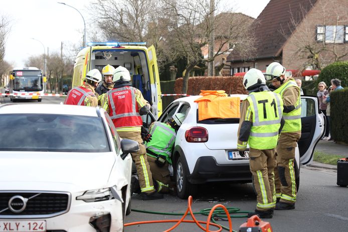 Het ongeval gebeurde op de Houtlaan in Brecht.