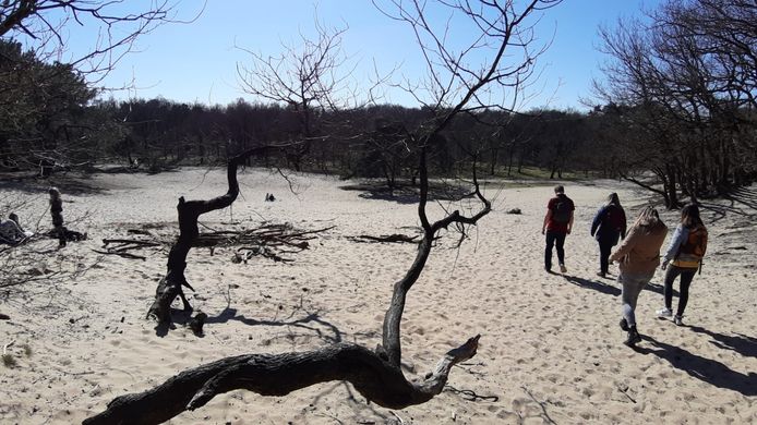 In de Loonse en Drunense Duinen in coronatijd: het is er rustig.