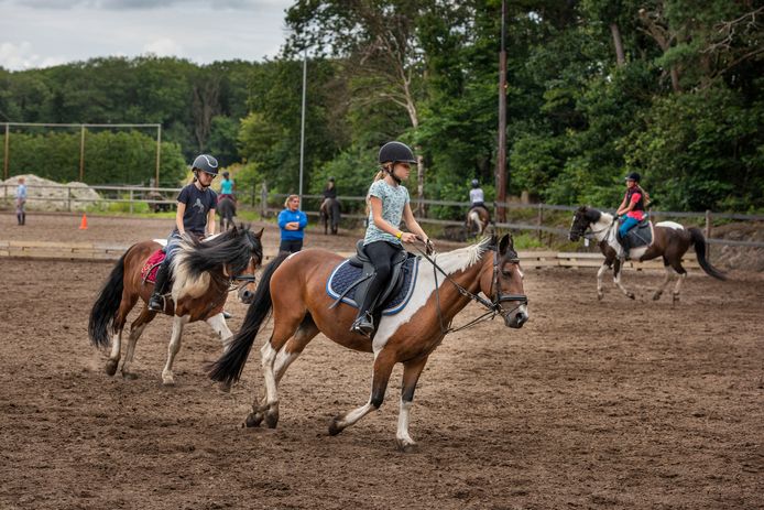 Bij Holzik Stables worden naast de reguliere lessen al verschillende andere activiteiten georganiseerd.