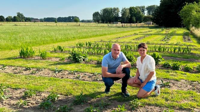 Katrien en Wim presenteren tijdens ‘Open Tuinen’ alweer iets nieuw: “Binnenkort starten we met een bloemenpluktuin”