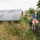 Moeten zonneparken altijd groot en lelijk zijn? In Overijssel drijven de panelen tussen de koeien