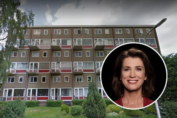 Een flat in de Van Ummenstraat in Diezerpoort in 2014. Nu is de flat vernieuwd. Inzet: Mariëlle Tweebeeke.