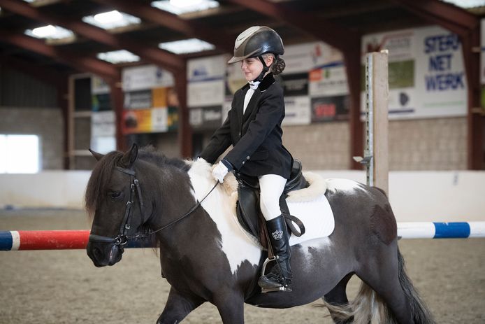 sticker klant door elkaar haspelen Spelletjes doen met je pony in de Bixierubriek in Gemonde |  Sint-Michielsgestel | bd.nl