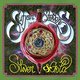 Sufjan Stevens - Silver & Gold