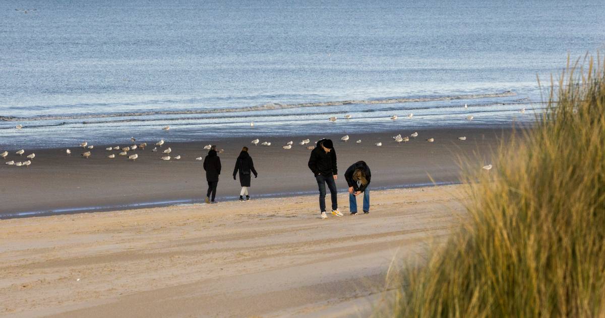 Hondje plast op pakket in branding, blijkt om blok coke te gaan: ‘We hebben niemand iets verteld’
