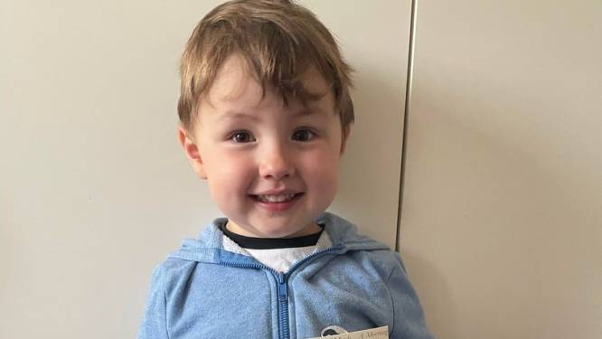 Teddy op driejarige leeftijd jongste Britse lid van internationale vereniging voor hoogbegaafden ooit