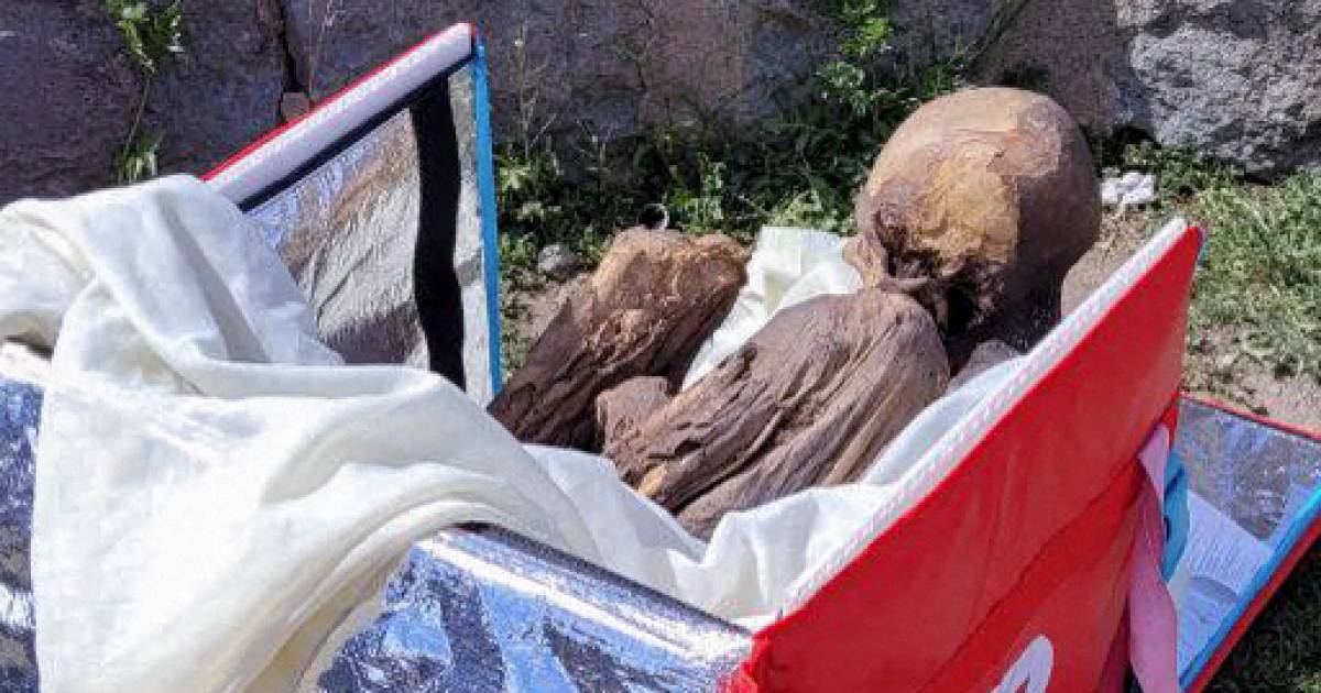 Il corriere peruviano cammina con un’antica mummia in una borsa termica: “Il mio amico spirituale” |  Strano