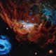 Telescoop Hubble toont ‘kosmisch koraalrif’, geboortegrond van nieuwe sterren
