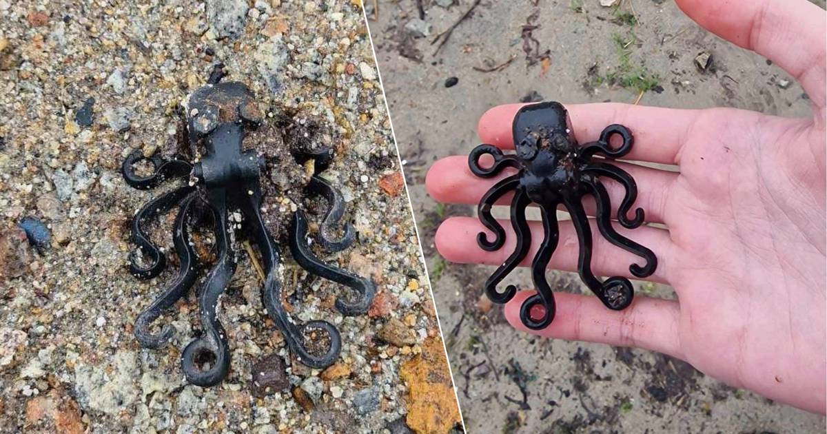13-jarige jongen vindt 'heilige graal' onder strandjutters: zeldzame Lego-octopus - Provinciale Zeeuwse Courant