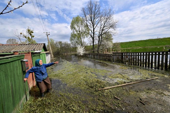 Demydiv overstroomde nadat een dam op de rivier Irpin het water niet meer tegenhield.