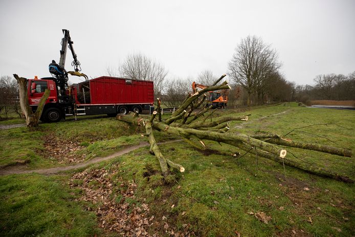 Twee weken geleden werden bij het Wasven al drie bomen gekapt voor aanleg van de bouwroute voor nieuwbouw van Lorentz Casimir Lyceum