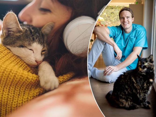 “Geef je kitten de beste zorg, dan zit het later beter in zijn vel”: dierendokter vertelt waarom vooroordelen tegenover katten niet altijd terecht zijn