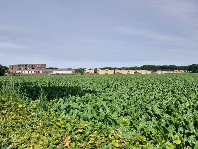 Het plangebied De Bakertand met op de achtergrond de huizen van Boschkens.