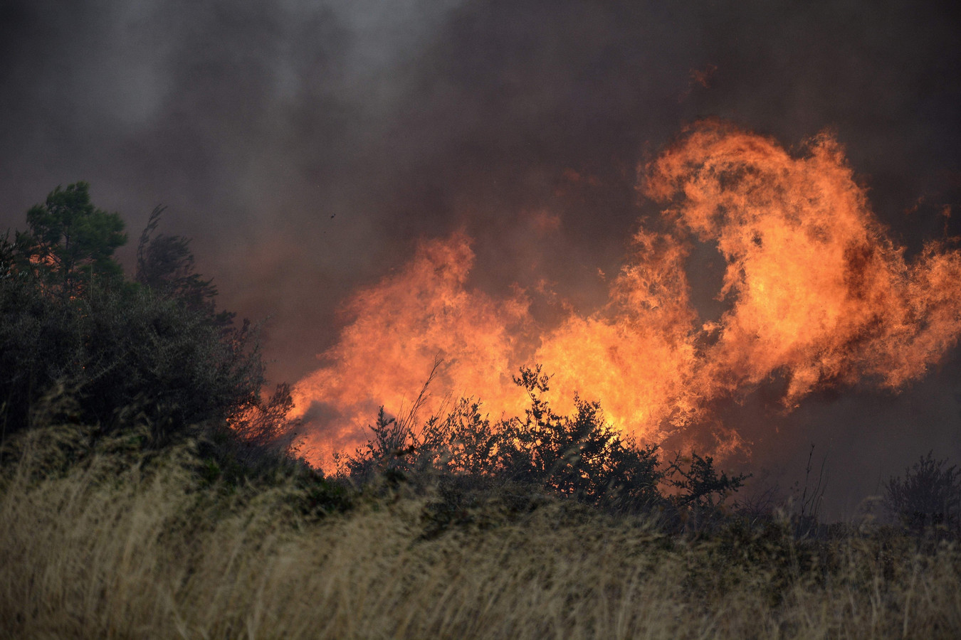 Le mont Penteli est régulièrement touché l'été par des incendies de forêt, comme le montre cette photo datant de juillet 2018.