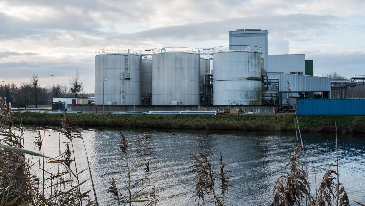 Deze biodieselfabriek in Amsterdam werd in 2010 gebouwd. Sindsdien staat hij leeg. Beeld Simon Lenskens