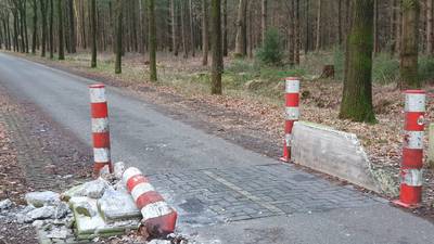 Rechter oordeelt over wegversmalling Prins Hendriklaan en zelfde dag wordt die vernield