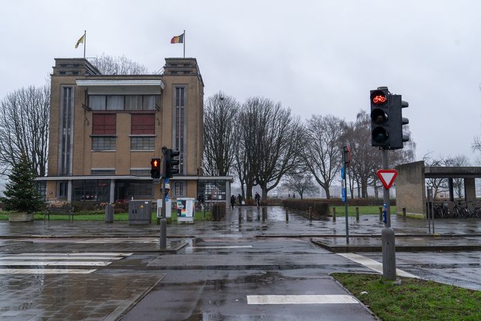 De vrouw werd aangevallen toen zij 's morgens met haar hondje langs de voetgangerstunnel wandelde.