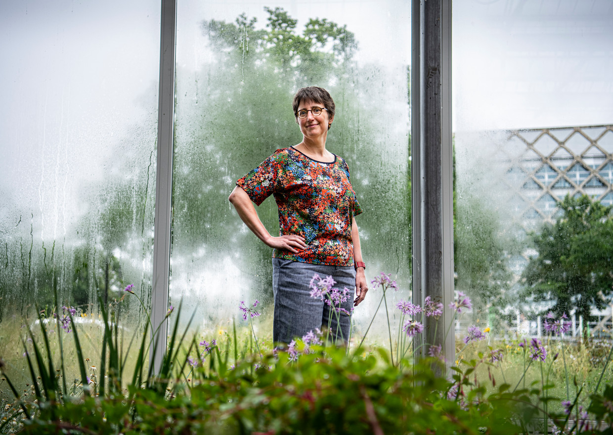 Hoogleraar Liesje Mommer: ‘Door de sterke vermindering van de biodiversiteit in de wereld hangen wij met elkaar aan een zijden draadje’.

 Beeld Koen Verheijden