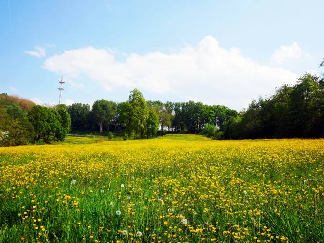 Boerenlandschap Pajottenland nu ook officieel geen kandidaat landschapspark meer