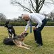 Duitse herders Joe Biden weg uit Witte Huis na agressief gedrag
