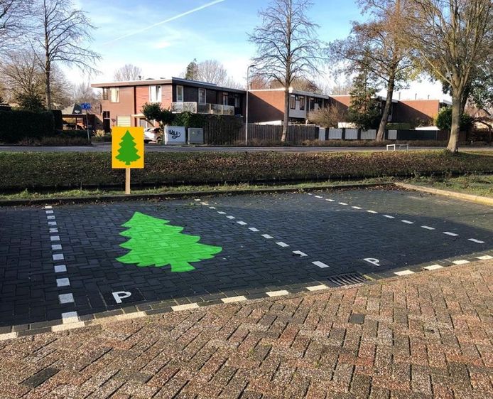 Wie van z’n kerstboom af wil, kan die in Capelle op deze plekken