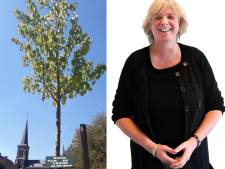 Torens wekken toorn: probeer het anders eerst eens eens te worden