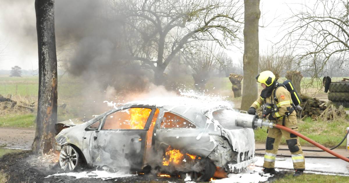 Auto vliegt in brand door botsing tegen boom in Berghem.