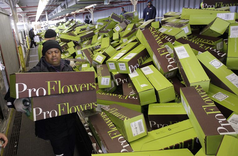 FedEx-werknemer Johnny Brown sorteert 25.000 bloemendozen op het vliegveld van Oakland, VS.<br /> Beeld 