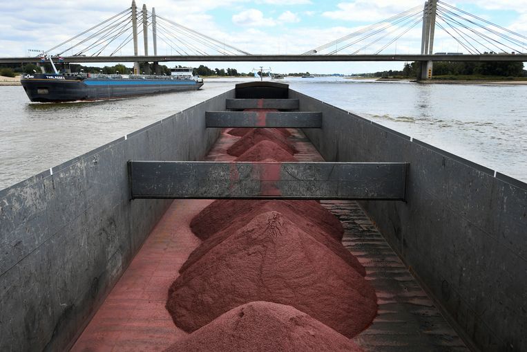 Una nave sul fiume Waal può trasportare solo un terzo del carico, altrimenti rimarrà bloccata sul fondo a causa del basso livello dell'acqua.  foto di Reuters