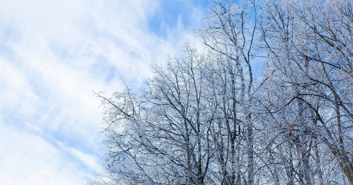 previsioni del tempo.  Sabato campi di sole e nuvole  Notizie meteorologiche