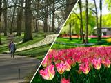 Keukenhof weer geopend: zo ziet de bloemententoonstelling er dit jaar uit