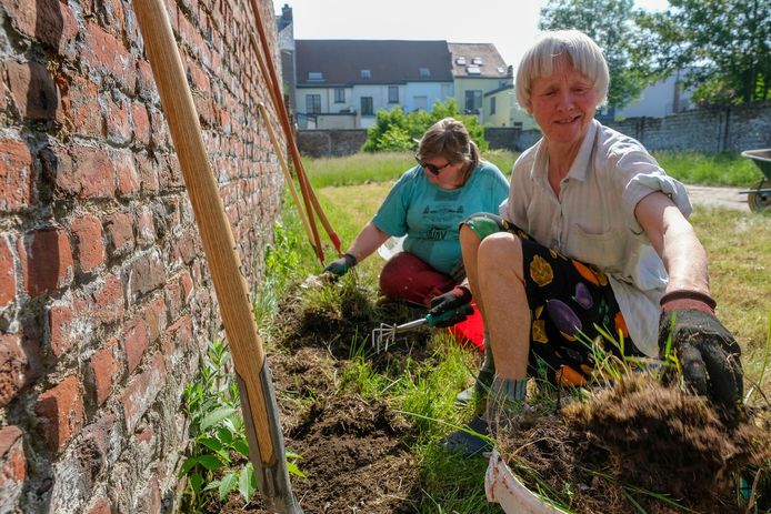 De buurtbewoners halen hun groene vingers boven.