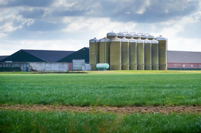 De silo’s van Coppens staan buiten het bouwblok en zijn daarmee illegaal. In het nieuwe plan zouden ze gelegaliseerd worden.