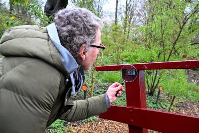 Ieniemini klimaatmensjes gespot in Arboretum