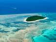 Great Barrier Reef stierf jongste 30.000 jaar al 5 keer bijna af volgens nieuwe studie