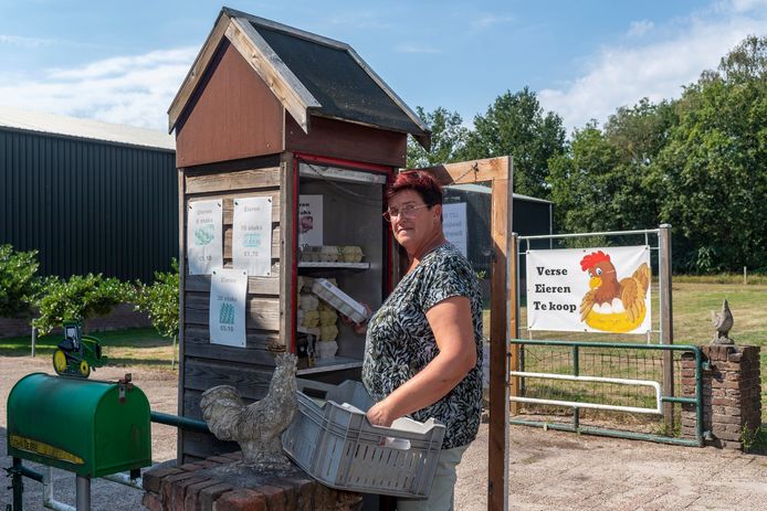 Gluren seksueel Pessimistisch Voormalige pluimveehouders kunnen huisverkoop eieren niet loslaten | Bergen  op Zoom | bndestem.nl