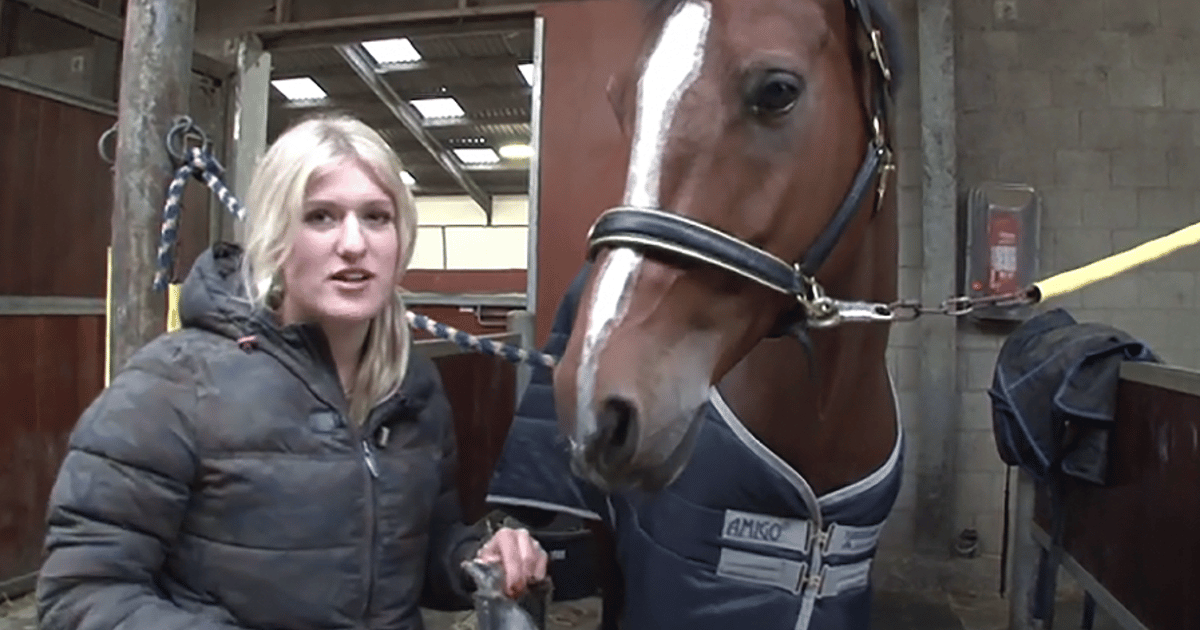 Britt Dekker Betrapt Enge Ponyverkrachter Bij Weiland Show Ad Nl