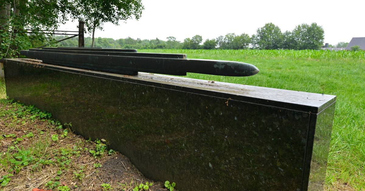 Vergeten werken van grote namen herinneren aan ruilverkaveling in Saasveld