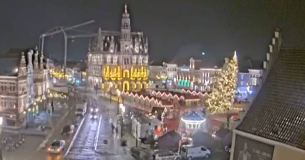 Tragedy strikes at Oudenaarde Christmas market as woman dies from fallen tree