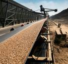 Protest tegen biomassacentrales: ‘Bomen verbranden is geen klimaatoplossing’