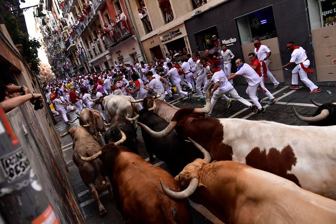 Les habitants fuient les taureaux au festival de la San Fermin, en Espagne.