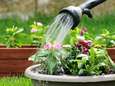 Emmer in de douche, gras niet te kort maaien,... : expert vertelt hoe je zelf spaarzamer om kan gaan met water
